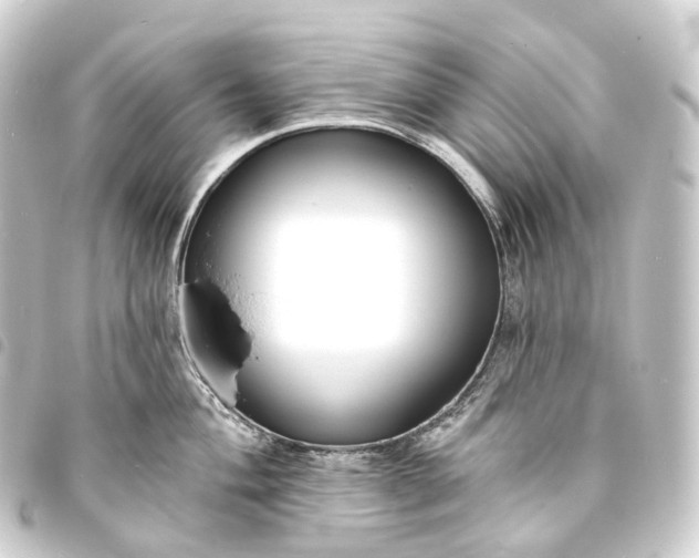 X0000093761004200710301141