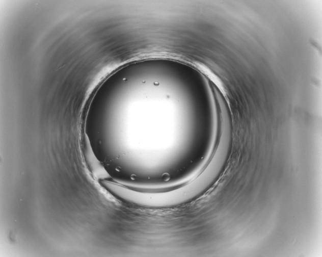 X0000093761005200710301141