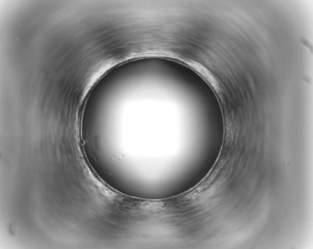 X0000093761006200710301141