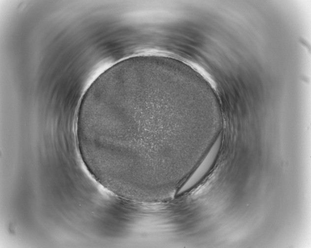 X0000093761007200710301141