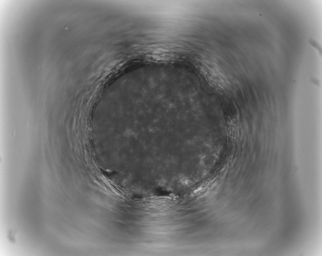 X0000093761009200710301140