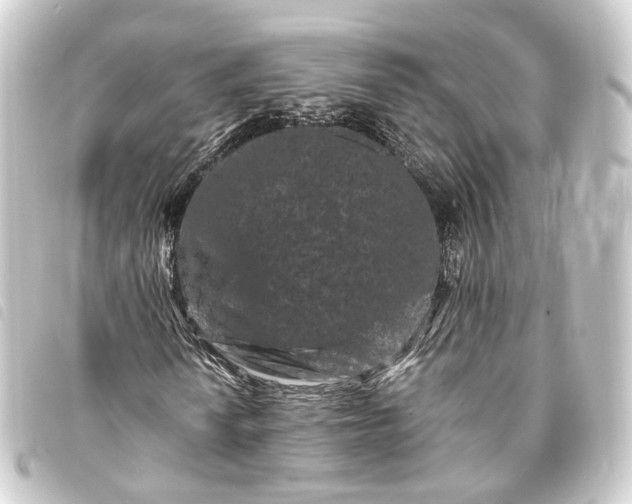 X0000093761010200710301140