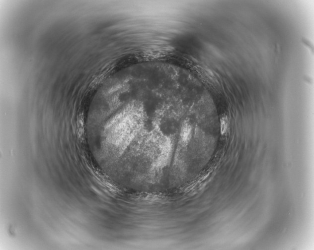 X0000093761011200710301140