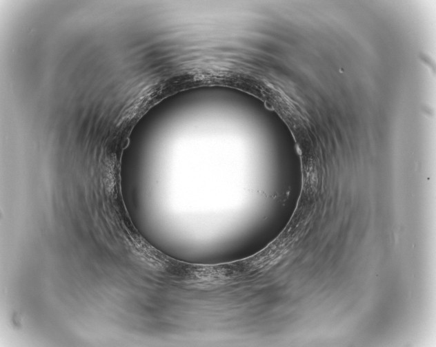 X0000093761012200710301140