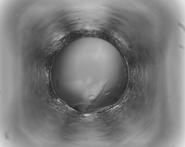 X0000093761013200710301140