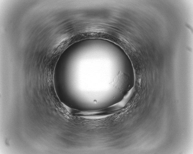 X0000093761014200710301140