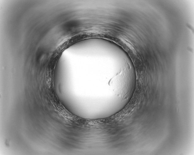 X0000093761015200710301140