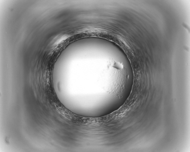 X0000093761016200710301140