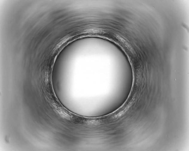 X0000093761017200710301140