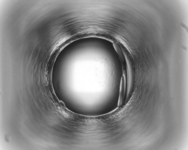 X0000093761018200710301140