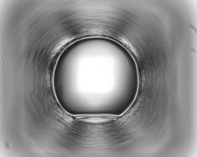 X0000093761019200710301140