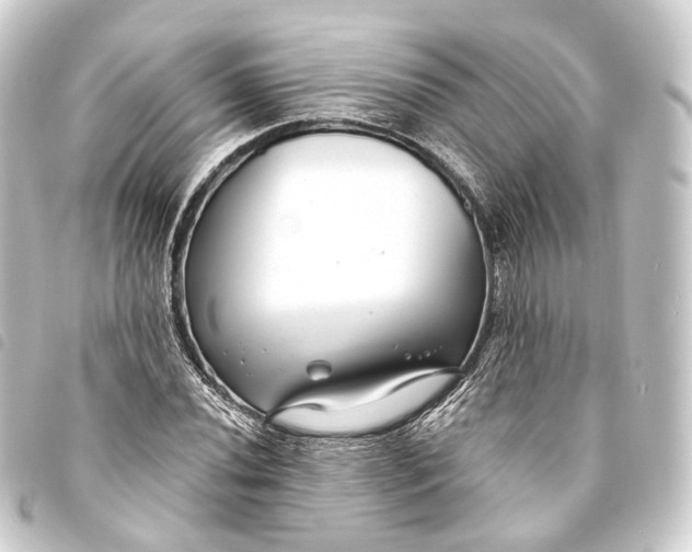 X0000093761020200710301140