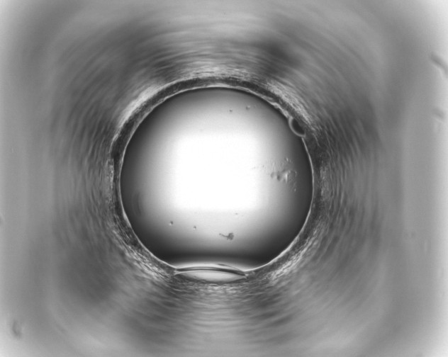 X0000093761021200710301140