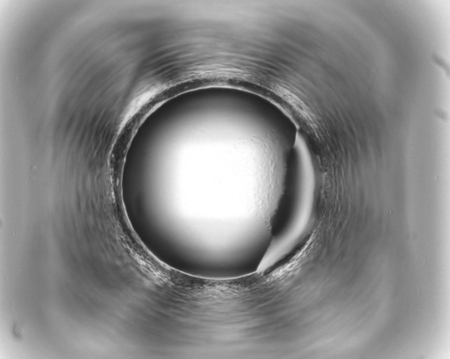 X0000093761022200710301140