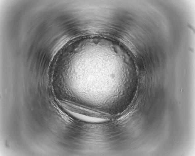 X0000093761023200710301140