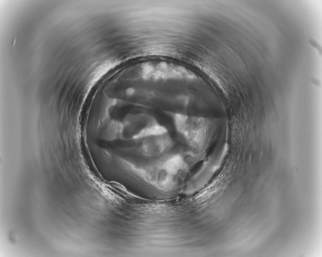 X0000093761024200710301140