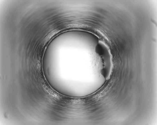 X0000093761025200710301140