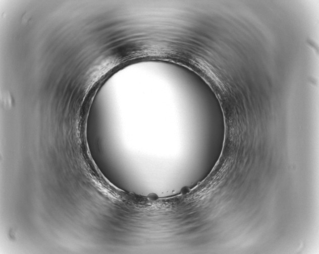 X0000093761026200710301140