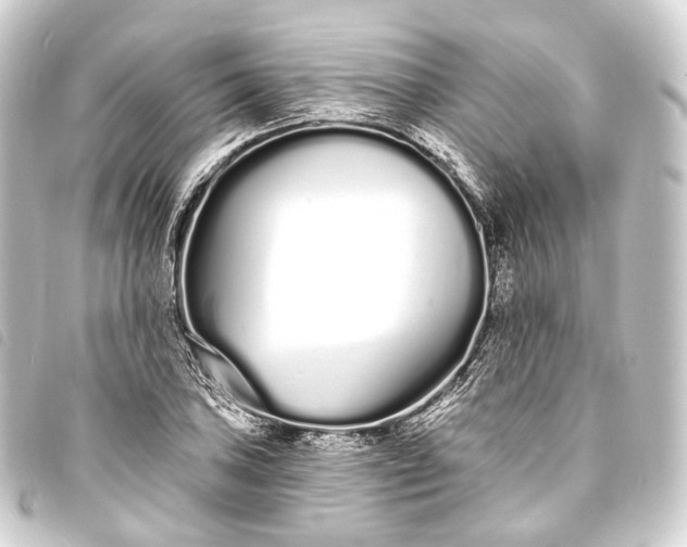 X0000093761027200710301140