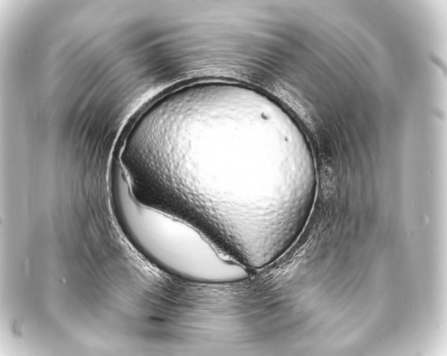 X0000093761028200710301140