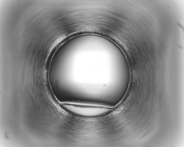 X0000093761029200710301140