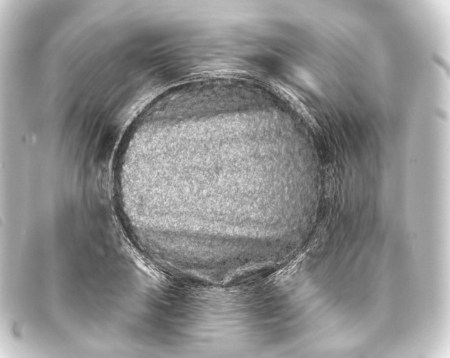 X0000093761031200710301140