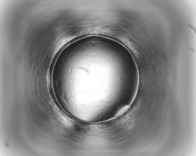 X0000093761032200710301140