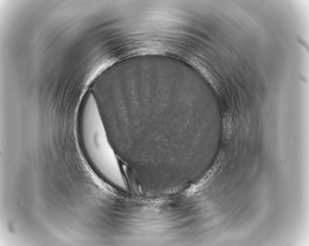 X0000093761034200710301140