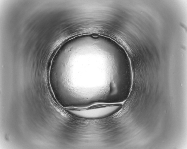 X0000093761035200710301140