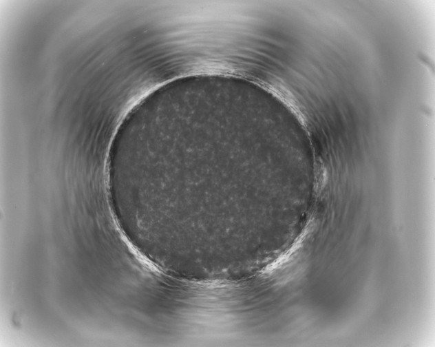 X0000093761037200710301140