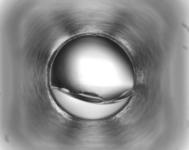 X0000093761038200710301140