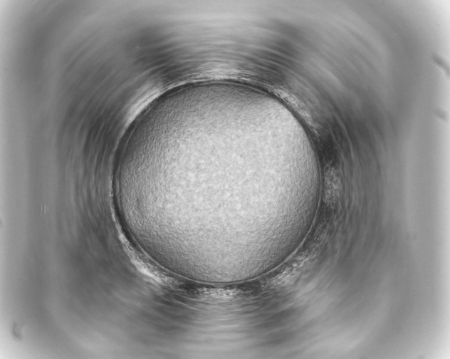 X0000093761039200710301140