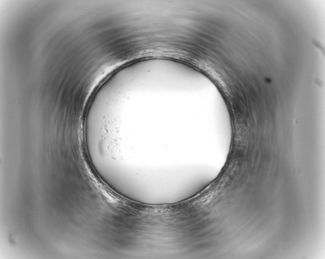 X0000093761040200710301141