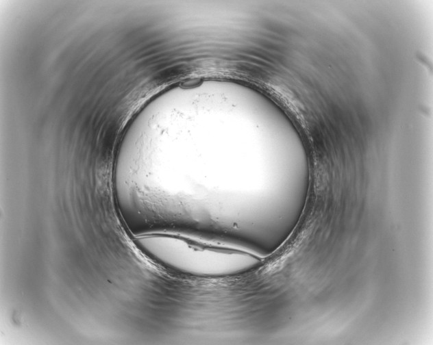 X0000093761041200710301141