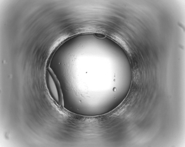 X0000093761043200710301141