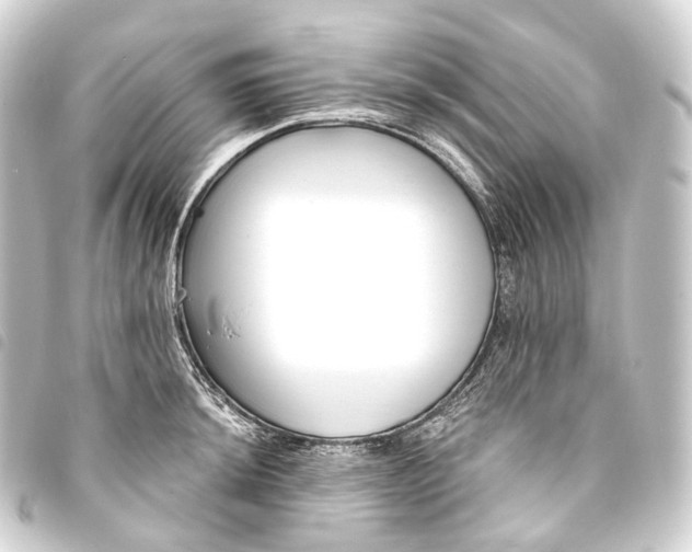 X0000093761044200710301141