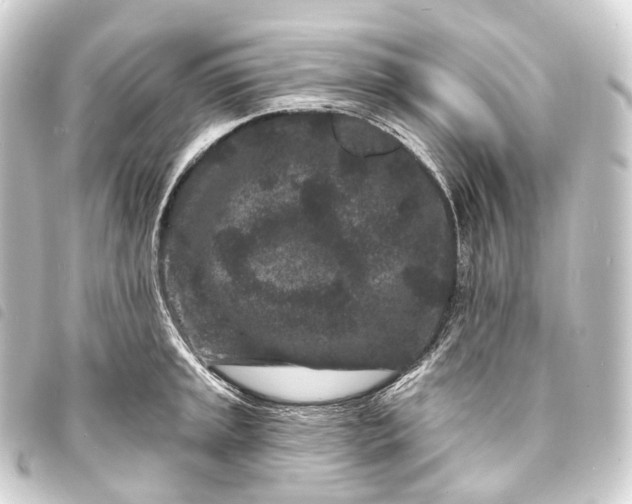 X0000093761045200710301141