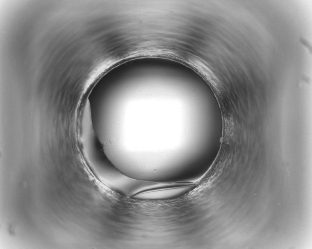 X0000093761046200710301141