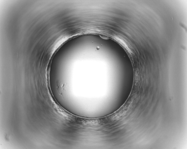 X0000093761047200710301141