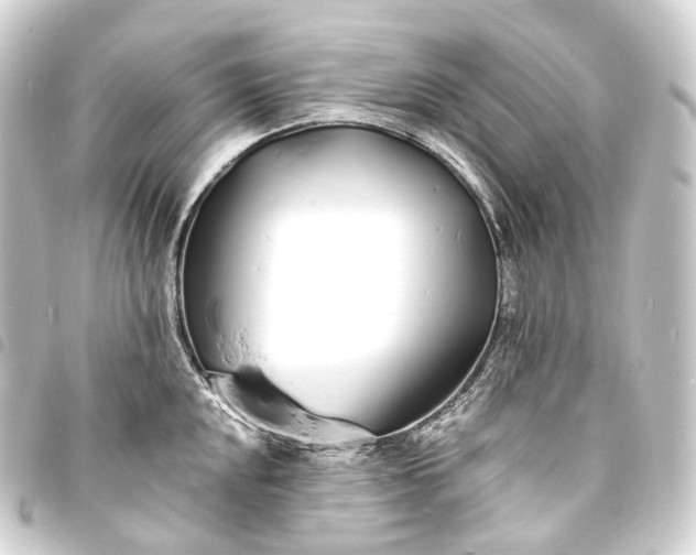 X0000093761048200710301141