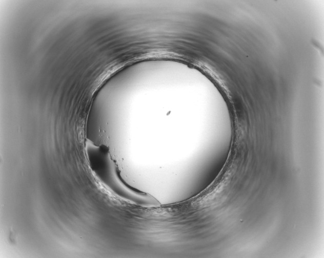 X0000093761049200710301141