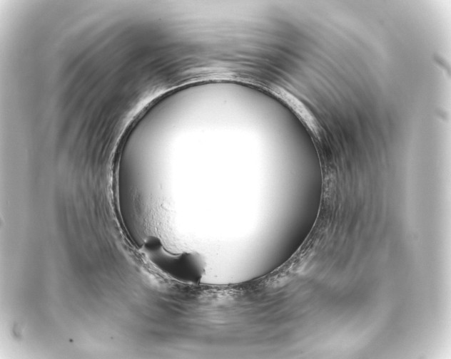 X0000093761051200710301141