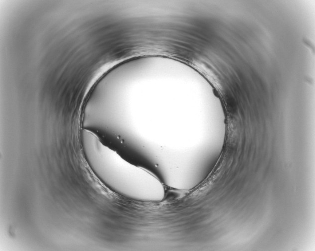 X0000093761052200710301141