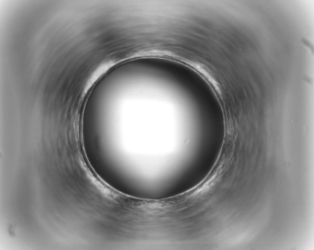 X0000093761054200710301141