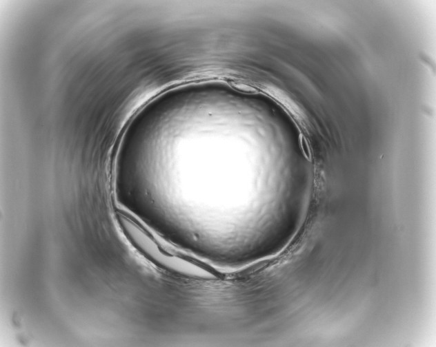 X0000093761055200710301141