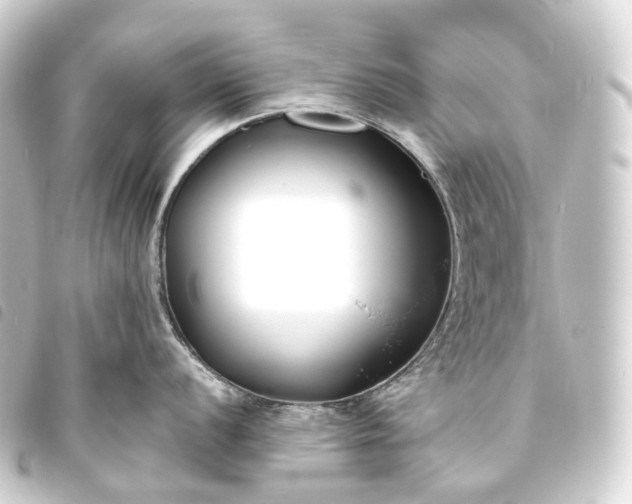 X0000093761056200710301141