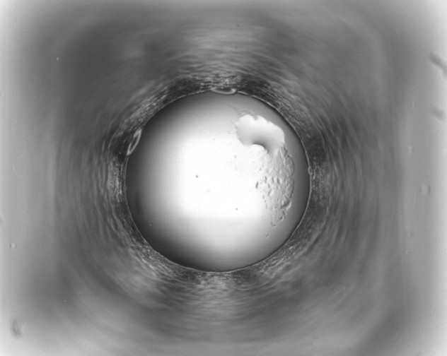 X0000093761058200710301140