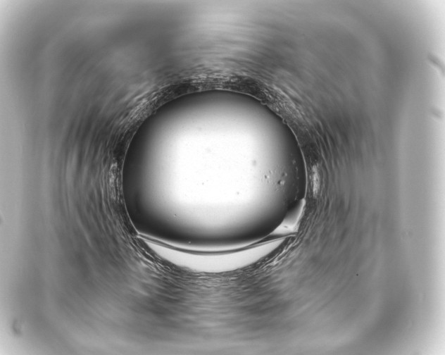 X0000093761059200710301140