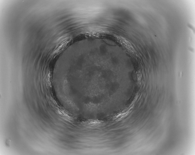 X0000093761060200710301140