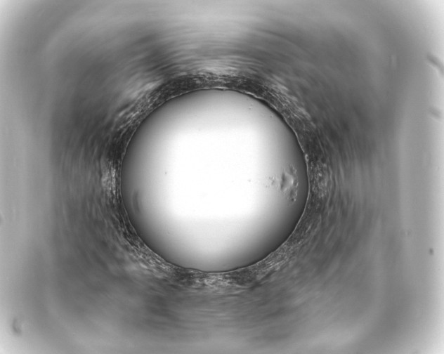 X0000093761061200710301140